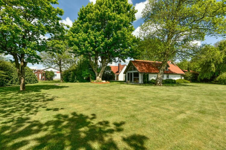 billede_have_0117 billede_have_0117