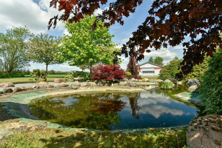 billede_have_0120 billede_have_0120