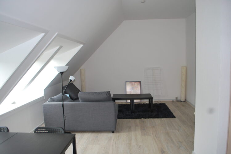 DSC_0941 (2) DSC_0941 (2)