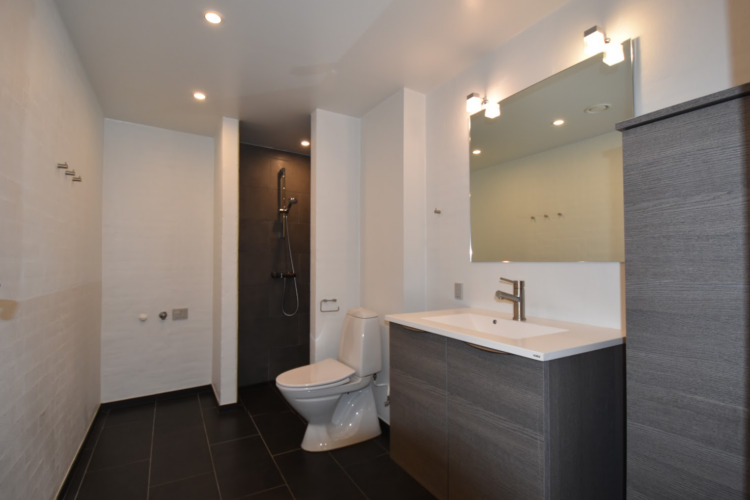 Skærmbillede 2021-02-25 112709 Skærmbillede 2021-02-25 112709