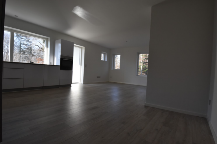 Skærmbillede 2021-02-25 112741 Skærmbillede 2021-02-25 112741