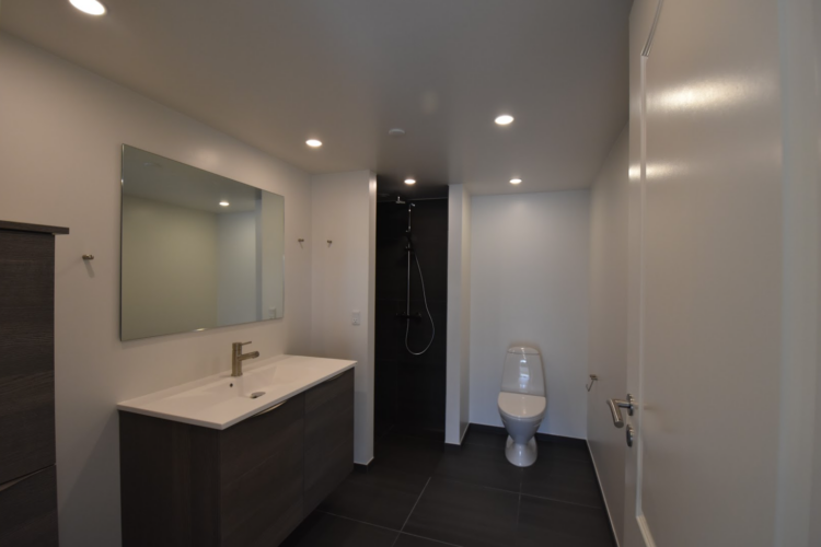 Skærmbillede 2021-02-25 091606 Skærmbillede 2021-02-25 091606