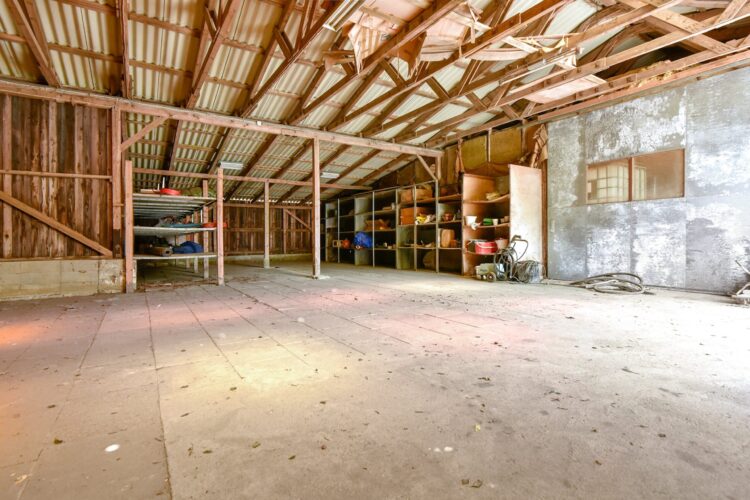 billede_hal_0107. billede_hal_0107.